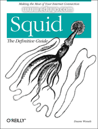 Squid中文权威指南在线手册