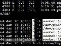 点击查看原始大小图片