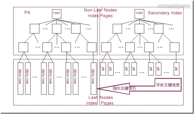 MySQL的btree索引和hash索引的区别